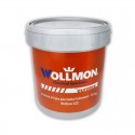 Pintura al Agua para Suelos Profesional - Wollmon A32